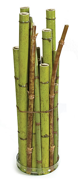 Picture of Autograph Foliages D-110030 26 in. Bamboo Container- Green