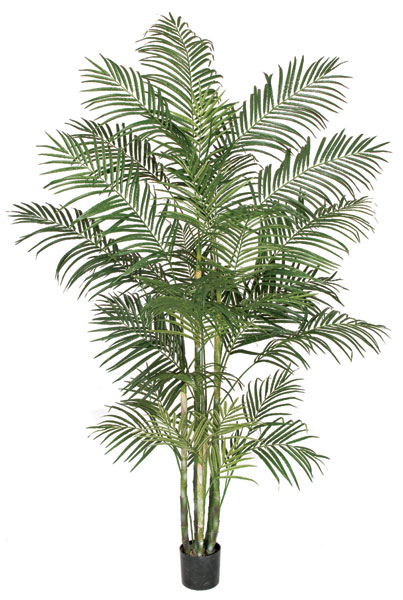 8 ft. Areca Palm Tree- Green