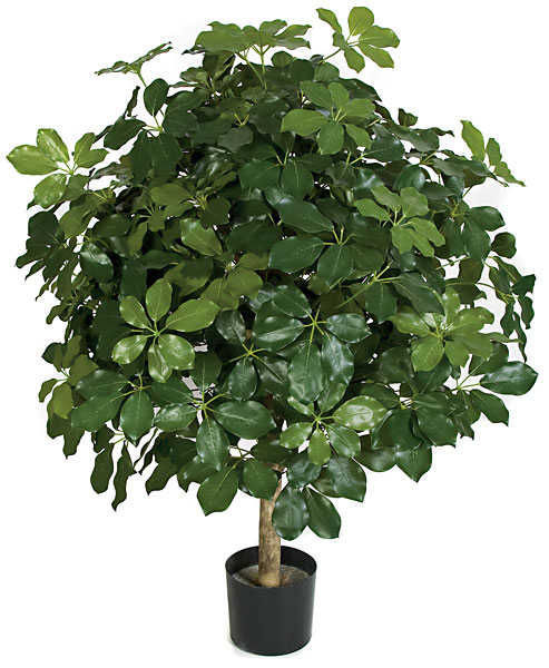 Picture of Autograph Foliages P-111360 45 in. Schefflera Ball Tree- Green