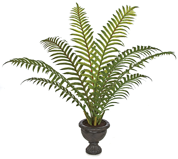 Picture of Autograph Foliages P-113615 4 ft. Sword Palm- Green