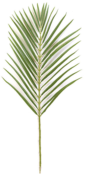 P-2680 35 in. Areca Palm Branch, Tutone Green
