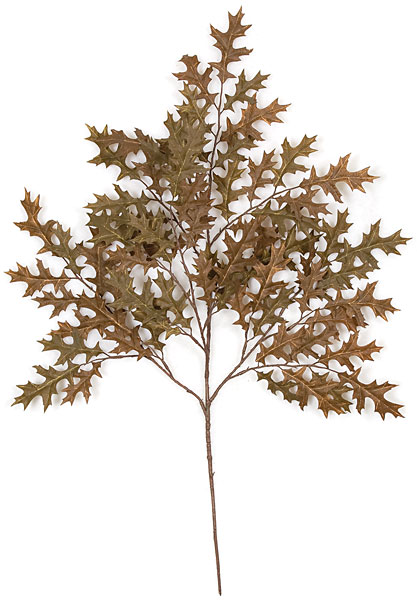 P-462B 27 in. Sm Pin Oak Branch, Brown