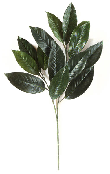 P-473 28 in. Magnolia Branch, Dark Green