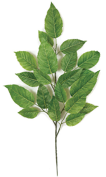 Picture of Autograph Foliages P-478 29 in. Alder Branch- Green