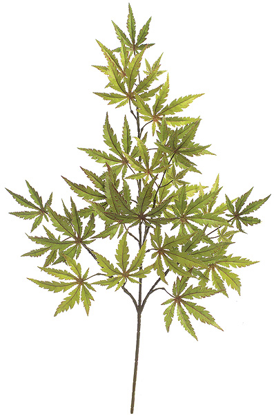 29 in. Maple Branch, Green & Red