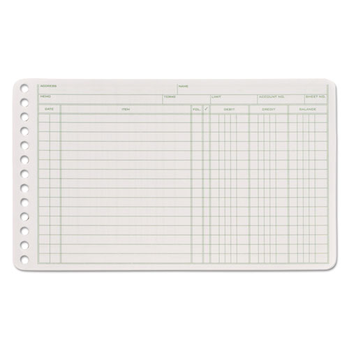 Ledger Binder Refill Sheets, 6-Ring - Green & White