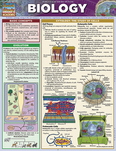 Picture of BarCharts 9781423219538 Biology Quickstudy Easel
