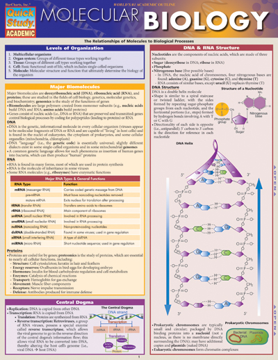 Picture of BarCharts 9781423218739 Molecular Biology Quickstudy Easel
