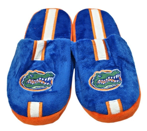 Picture of Florida Gators Slippers - Youth 8-16 Stripe