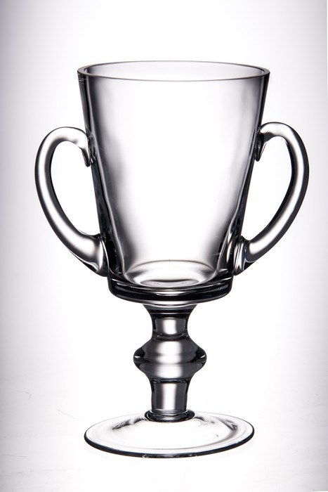 Trophy With Handles- 8 in.