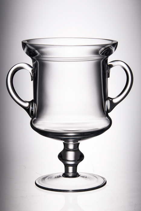 Trophy With Handles- 8 in. - Clear - 8 in.
