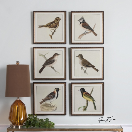 Picture of 212 Main 33627 Spring Soldiers Bird Prints