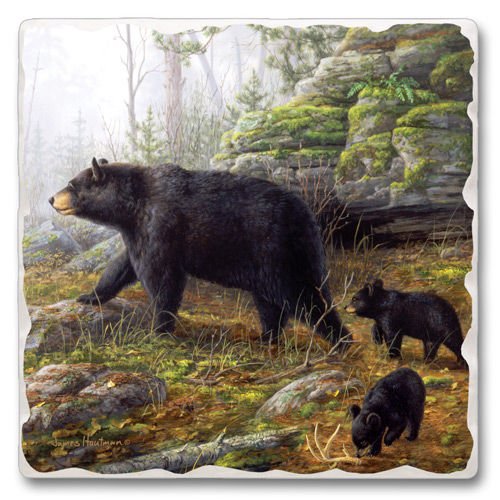 Picture of Andreas TR-MB Majestic Bear Trivet- Pack of 3