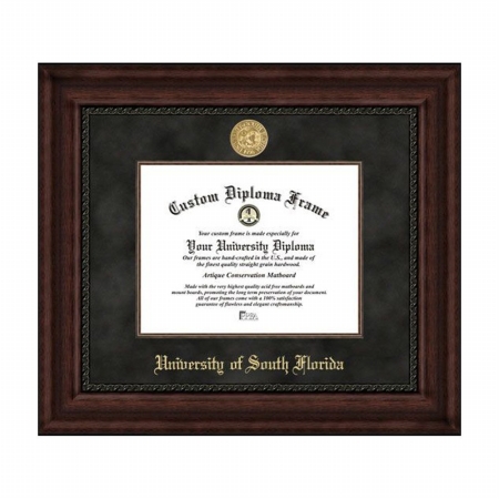 Campusimages  University South Florida Executive Diploma Frame