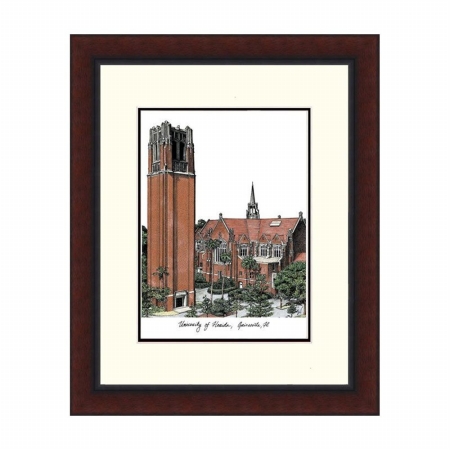 University of Florida The Tower Legacy Alumnus