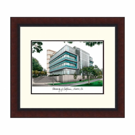 Campusimages CA933LR University of California Irvine Legacy Alumnus Framed Lithograph