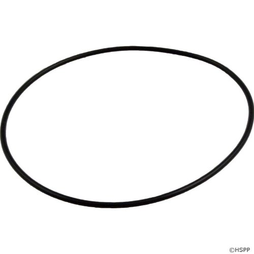 Volute O Ring Face Plate with Lube