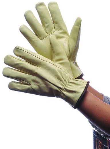 Picture of DDI 1819598 Leather Pig Skin Driver Gloves with Lining Extra Large Case of 24