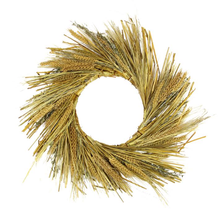 31738018 Autumn Harvest Wheat Grass and Grapevine Thanksgiving Fall Wreath -  Northlight Seasonal