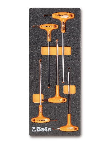 Beta Tools USA 024500055 2450 M55-5 Tools In Soft Thermoformed