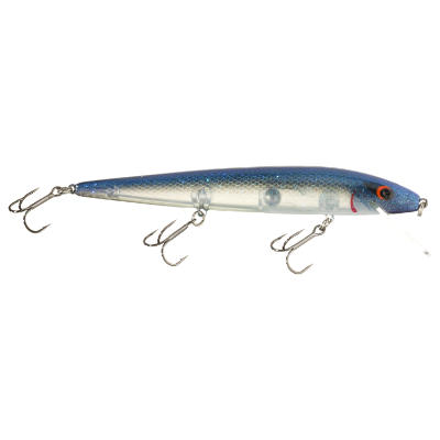 Perfect 10 Rogue - Blue Herring - 5.5 in.