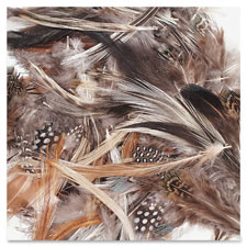 Picture of Chenille Kraft CKC4514 Natural Feathers