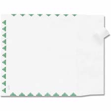 First Class Expansion Envelopes- 100 Per Carton
