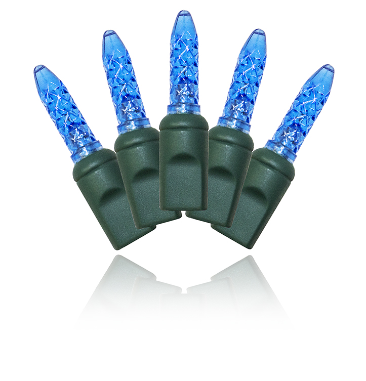 4 x 6 in. M5 Blue Net String Light