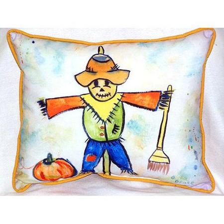 Scarecrow Indoor & Outdoor Throw Pillow, 20 x 24 in.