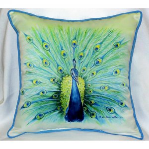 Peacock Throw Pillow- 22 x 22 in.