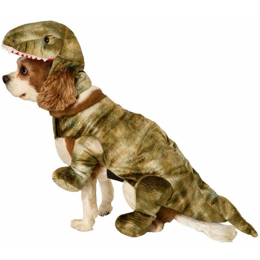 Picture of Rubies  243450 Dinosaur Pet Costume- Green - Small