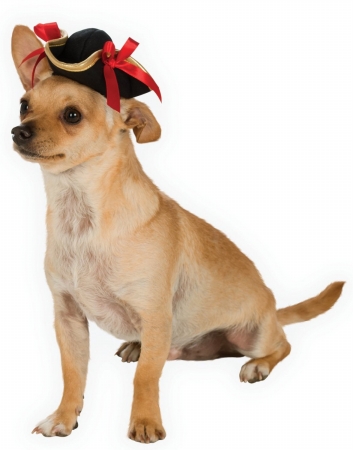 Picture of Rubies  219931 Pirate Pet Hat- Black - One Size