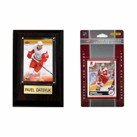 Picture of CandICollectables 10DREDWINGSFP NHL Detroit Red Wings Fan Pack