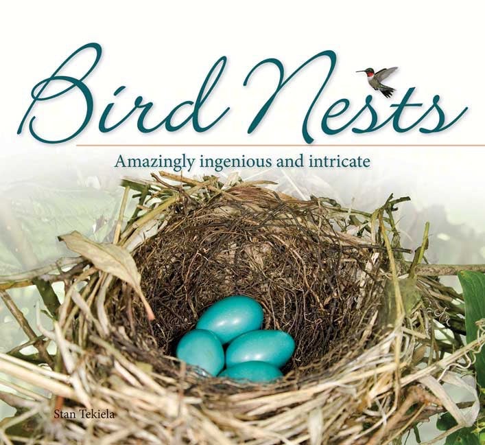 Picture of Adventure Publications AP34684 Bird Nests Book