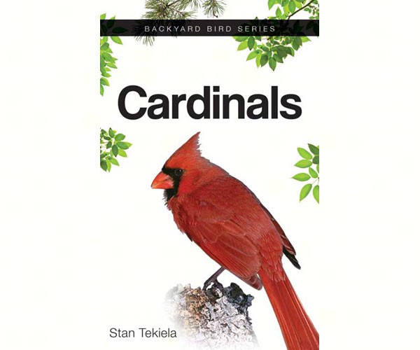 Picture of Adventure Publications AP35285 Cardinals Book&#44; 7 x 4.38 x 0.38 in.