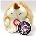 Pet Qwerks P141 Chattering Mini Hedgehog Dog Toy Pet Qwerks P141 Chattering Mini Hedgehog Dog Toy