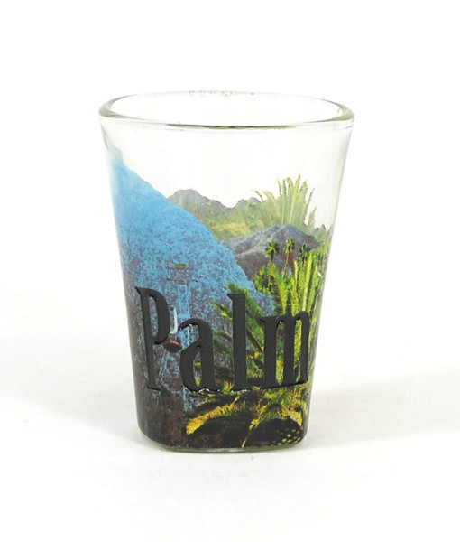Picture of Americaware SGPLM01 Palm Springs Full Color  Etched  Shot Glass