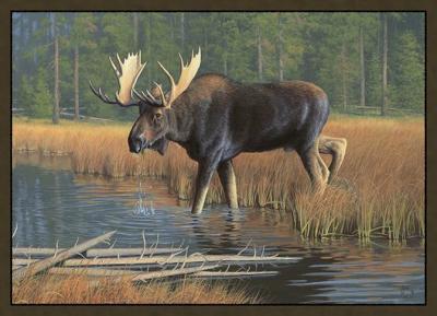 Custom Printed Rugs MOOSE Moose Wildlife Rug