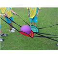 Everrich EVC-0132 Catch and Balance Band Set Everrich EVC-0132 Catch and Balance Band Set