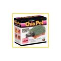Joseph Enterprises CP036-16 Crocodile Chia Pet- Case of 16 Joseph Enterprises CP036-16 Crocodile Chia Pet- Case of 16