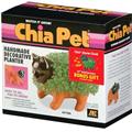 Joseph Enterprises CP 031-16 Kitten Chia Pet- Case of 16 Joseph Enterprises CP 031-16 Kitten Chia Pet- Case of 16