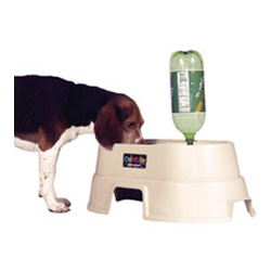 Picture of Our Pets 2020010408 Healthy Pet Diner - 8 Inch