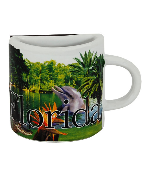 Picture of Americaware MGFLA01 Florida Mug Magnet
