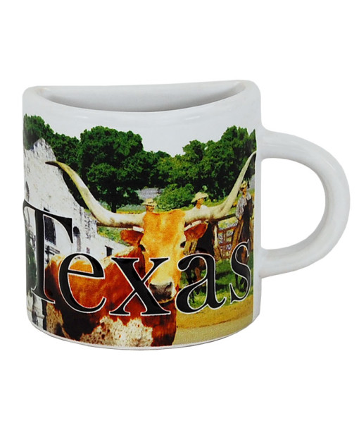 Picture of Americaware MGTXS01 Texas Mug Magnet