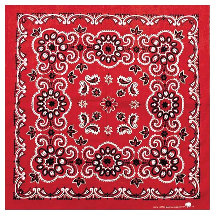 Picture of Carolina 516906 Texas Paisley Bandana- Navy