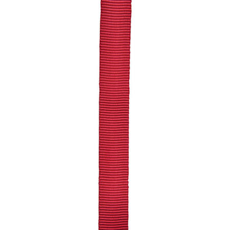 30 ft 1 in. Tubular Webbing- Blue