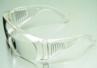 Plant Visitor Rx Overglasses, Clear Lens, Polycarbonate, Clear Frame
