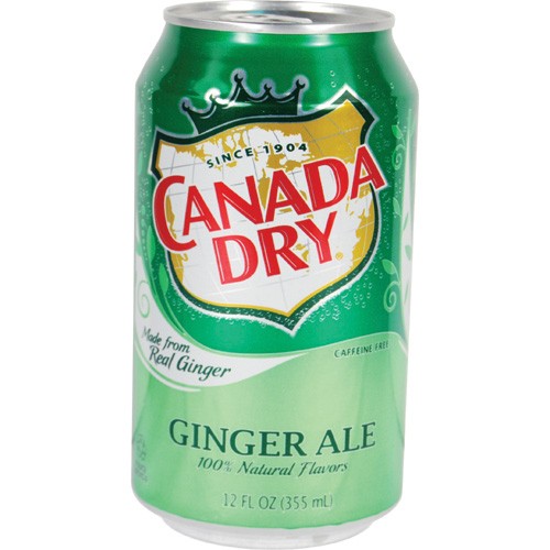 Safety Technology DS-GINGER Canada Dry Ginger Ale Diversion Safe -  Safety Technology International Inc