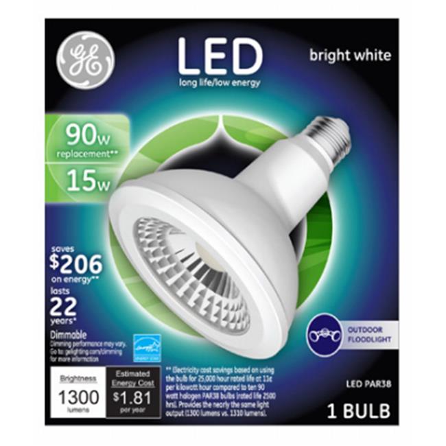 Hangzhou Great Star Indust 210236 15 watts Outdoor LED Floodlight  Bright White