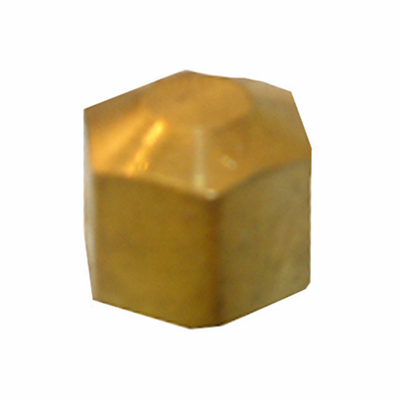 0.312 Brass Compresion Cap